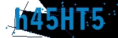 recaptcha