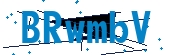 recaptcha
