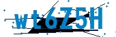 recaptcha
