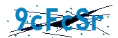 recaptcha