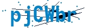 recaptcha