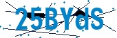 recaptcha