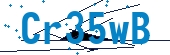 recaptcha
